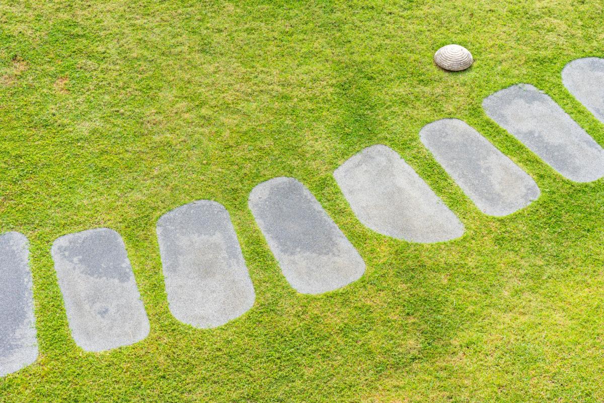 Sensory Trails